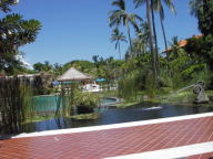 IMGP2978.JPG