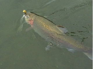 P1000069.JPG